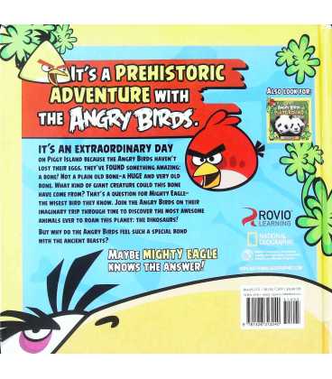 Angry Birds Playground: Dinosaurs Back Cover