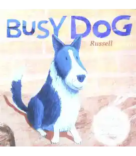 Busy Dog