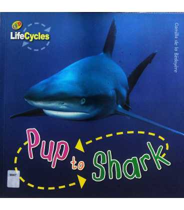 Pup to Shark (Lifecycles)