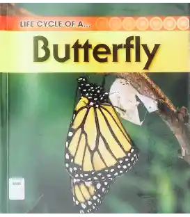 Life Cycle of a Butterfly