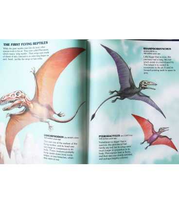 My First Book Of Dinosaurs and othe Prehistoric Animals Inside Page 1