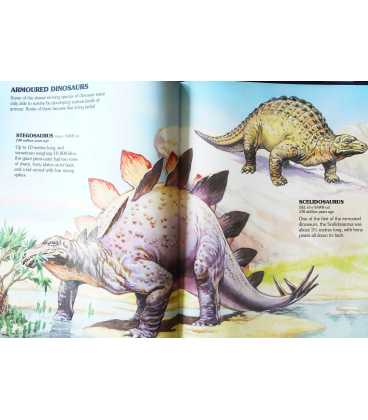 My First Book Of Dinosaurs and othe Prehistoric Animals Inside Page 2