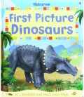 Usborne First Picture Dinosaurs