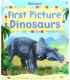 Usborne First Picture Dinosaurs