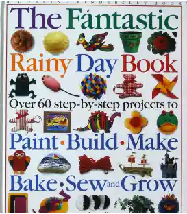 Fantastic Rainy Day Book