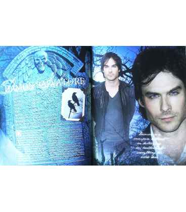 100% The Vampire Diaries: The Unofficial Guide to the Vampire Diaries Inside Page 2