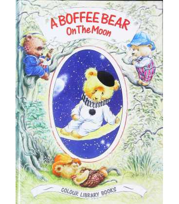 A Boffee Bear on the Moon