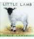 Little Lamb 