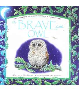 The Brave Little Owl