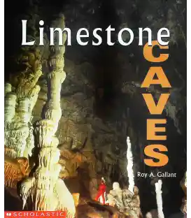 Limestone Caves