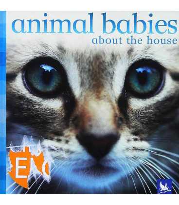 Animal Babies Around the House