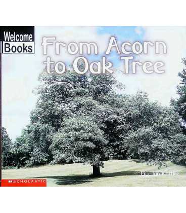 From Acorn to Oak Tree