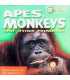 Apes, Monkeys and Other Primates